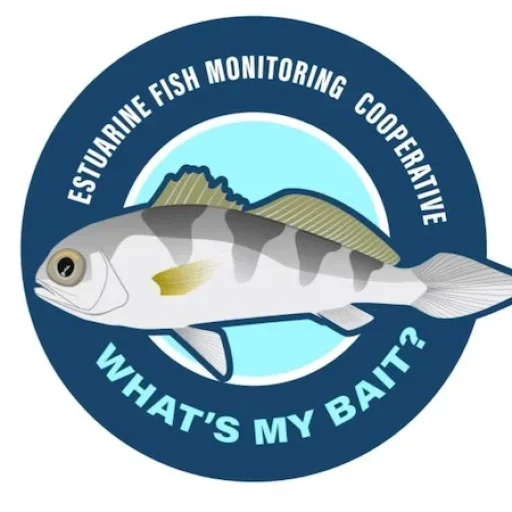 What's May Bait