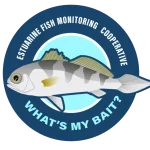 What's My Bait Logo