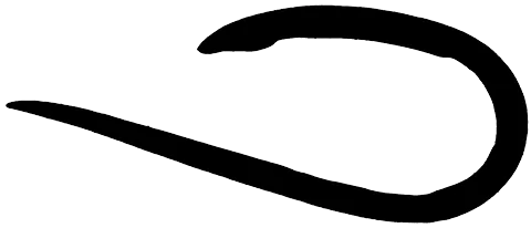 EelSnake