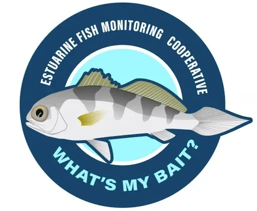 What's My Bait